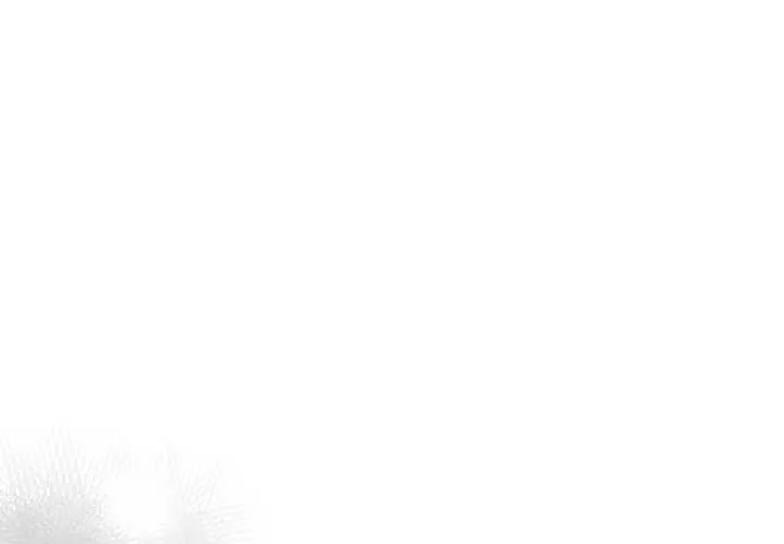 傻瓜病毒/傻傻病毒 第57話